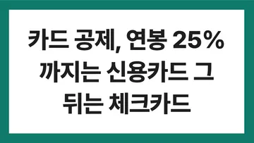 신용카드 소득공제 표지: 카드 공제, 연봉 25%까지는 신용카드 그 뒤는 체크카드